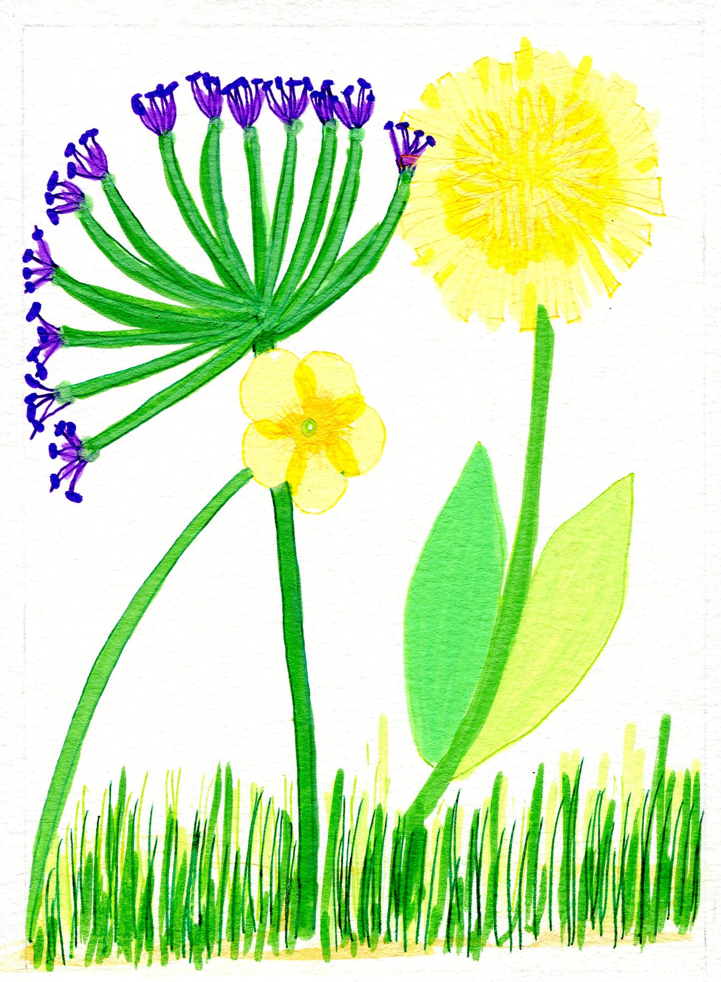 Small Joys Day 2: dandelion, buttercup, grass and allieae