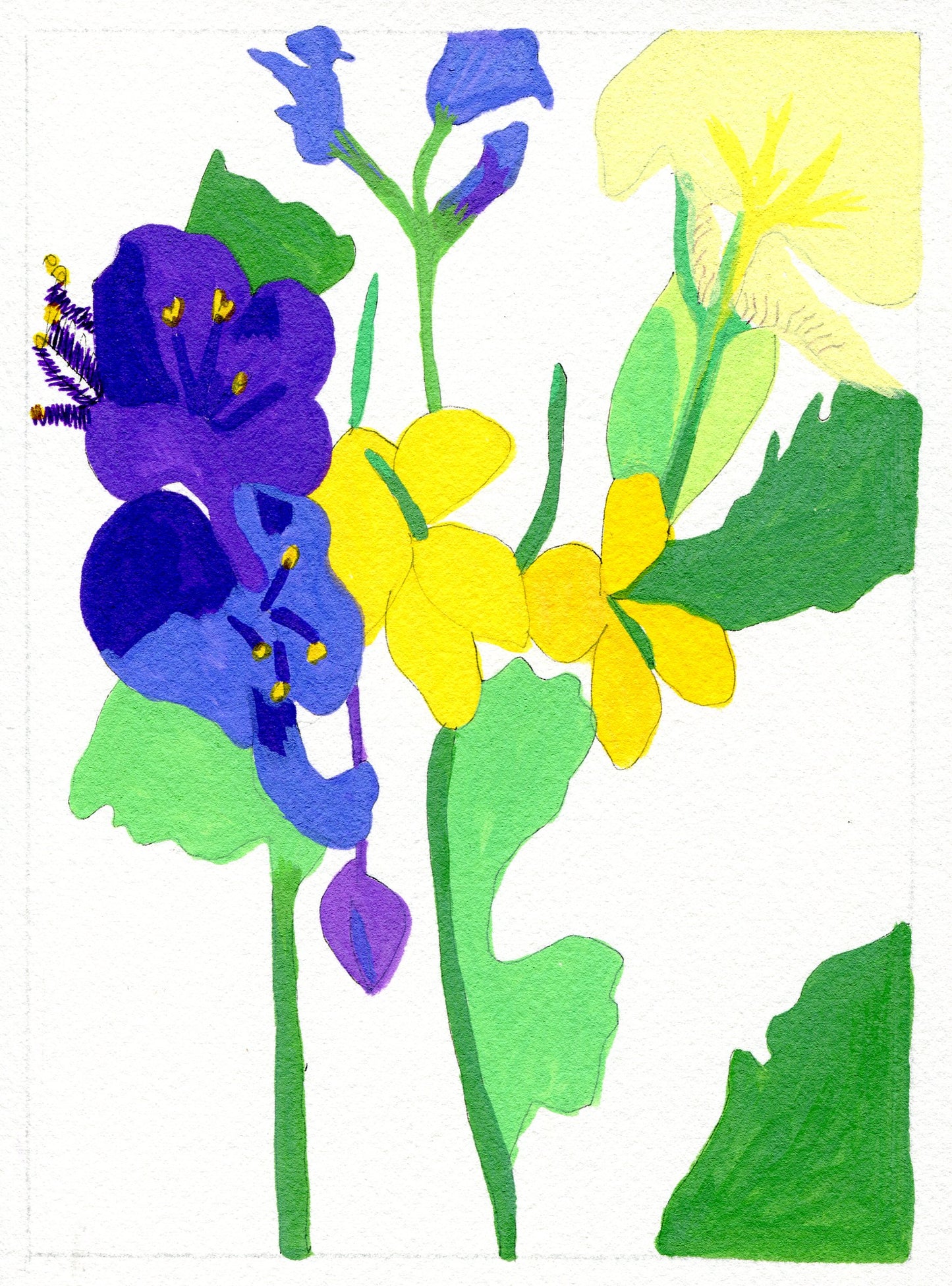 Small Joys Day 1: spiderwort, celandine, iris and bluebell