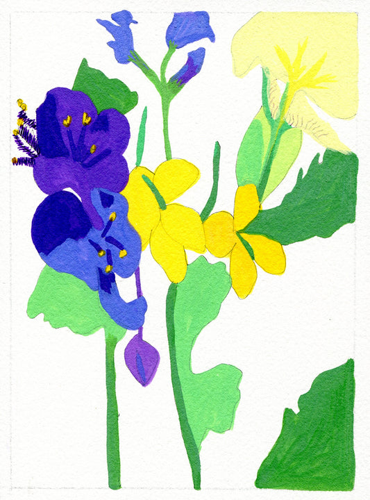 Small Joys Day 1: spiderwort, celandine, iris and bluebell