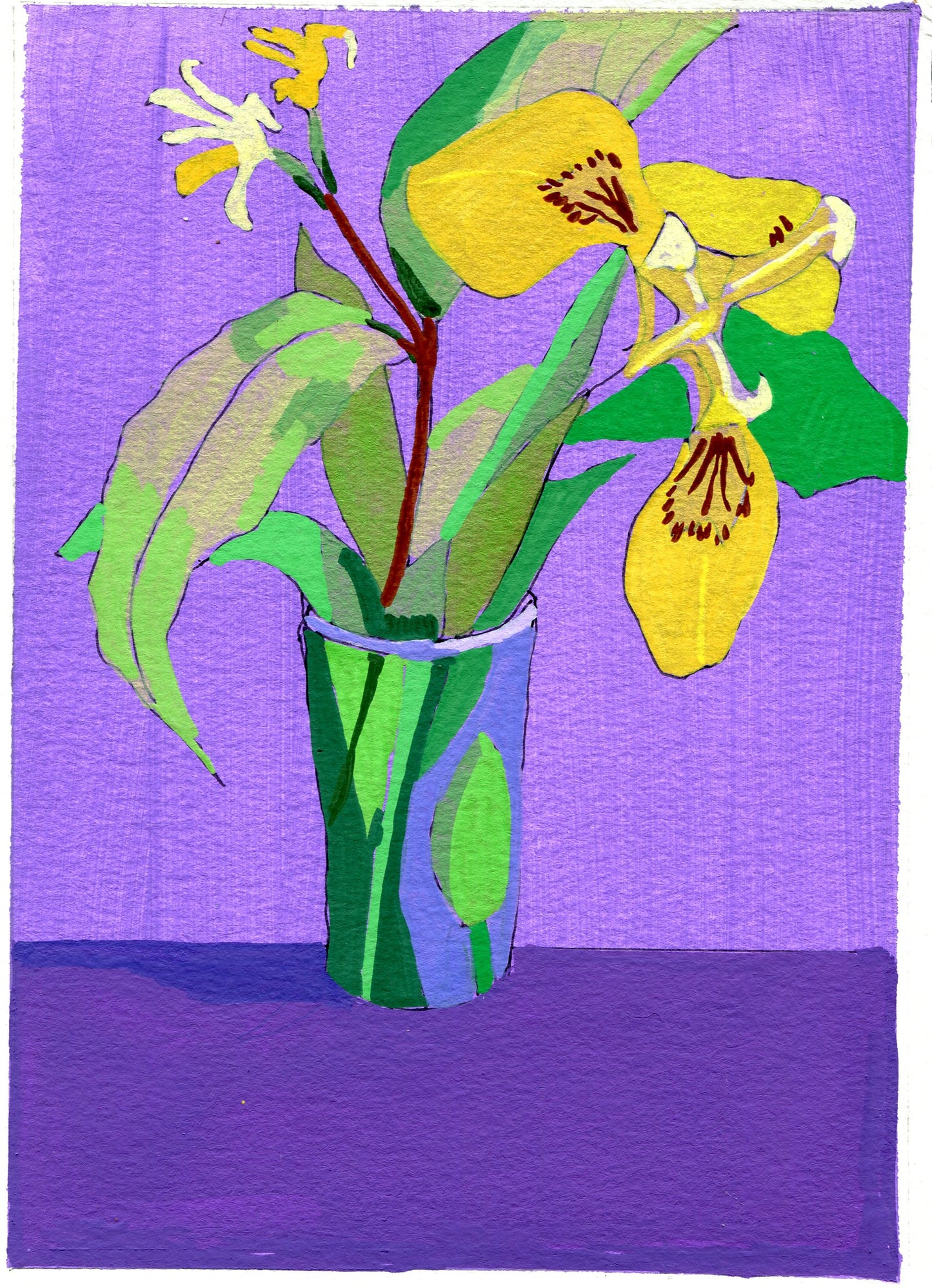 iris and bush honeysuckle
