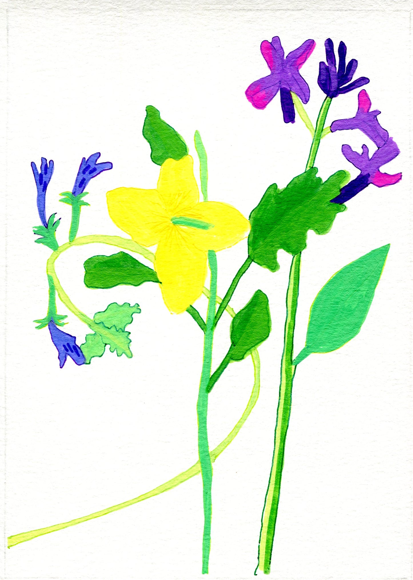 Small Joys Day 4: ground ivy, celandine and hesperis matronalis