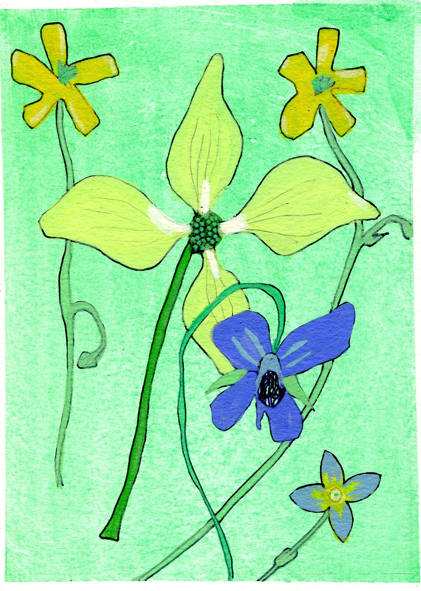 Small Joys Day 6: dogwood, violet, flowering bluet and woodsorrel