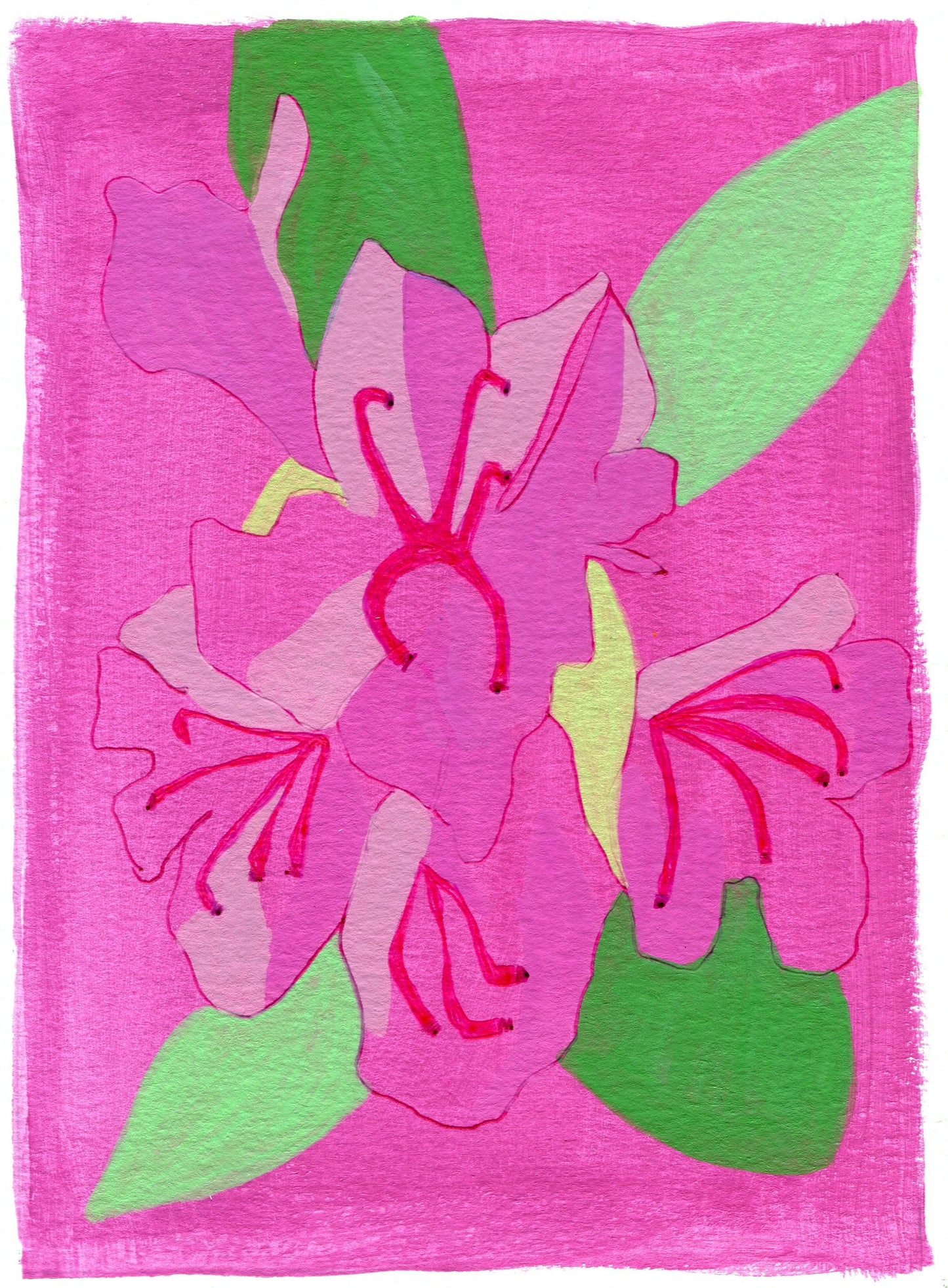 Rhododendron