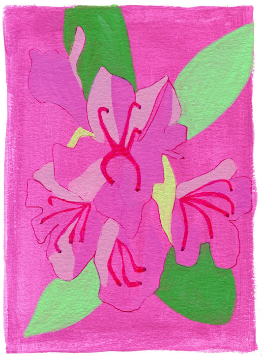 Rhododendron